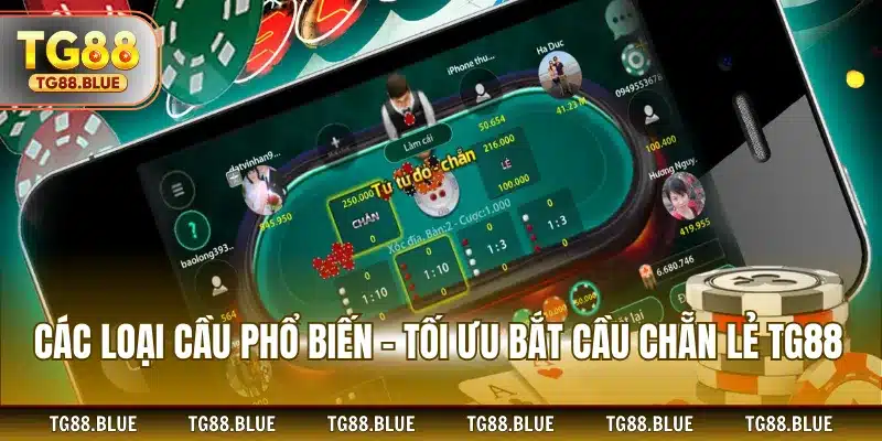 Các loại cầu phổ biến – Tối ưu bắt cầu chẵn lẻ TG88