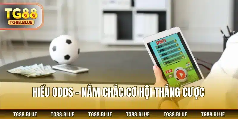 Hiểu Odds – nắm chắc cơ hội thắng cược
