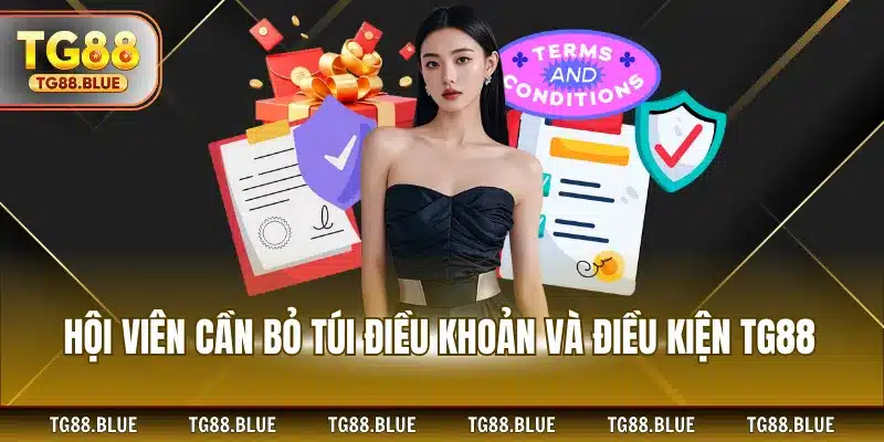Hội viên cần bỏ túi điều khoản và điều kiện TG88